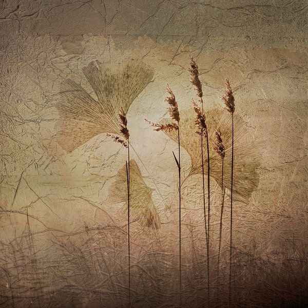 Sunset with reeds and ginkgo. by Alie Ekkelenkamp