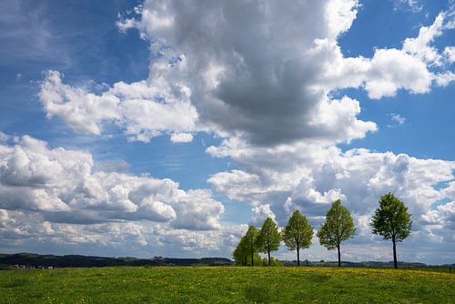 Bergisches Panoramasteig, Bergisches Land, Allemagne
