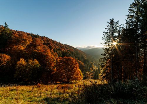 Autumn colours by Thomas Heins