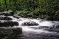 The valley of the Hoëgne by Rik Verslype thumbnail