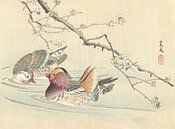 Zwei Enten von Matsumura Keibun - 1892 von Gave Meesters Miniaturansicht