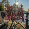 Journée ensoleillée de novembre à Amsterdam sur Foto Amsterdam/ Peter Bartelings