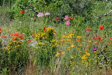 Multi gekleurd wilde bloemenveld van Jolanda de Jong-Jansen