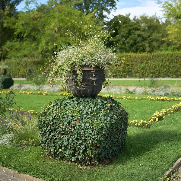 Planter with flower as decoration in a park by Heiko Kueverling