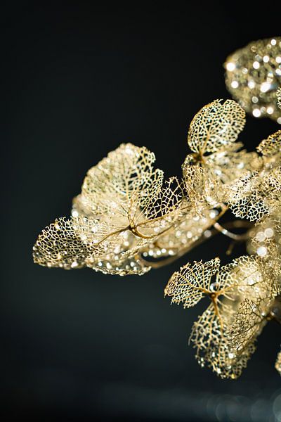 Gold that shines by Esther van Dijk