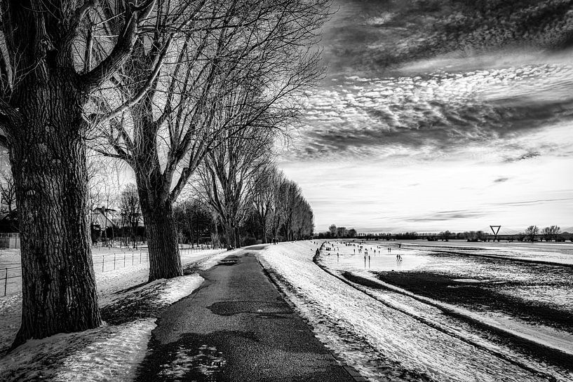 Winterlandschaft mit Bäumen Schnee und Wolkenformation am Rheinufer bei Düsseldorf in schwarz-weiss von Dieter Walther