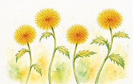 Dance of the Dandelion Blossoms by Renate Sell