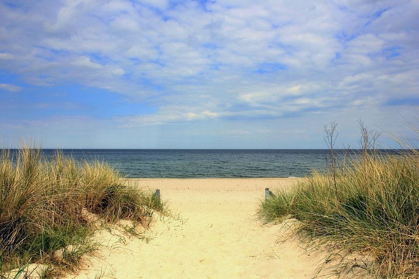 Strandaufgang im Mai par Ostsee Bilder