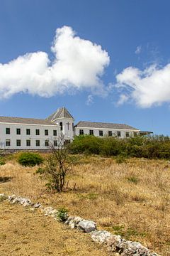 Sint Martinus University Curaçao van Marly De Kok