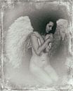 Angel 27 by Jeroen Schipper thumbnail