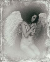 Ange 27