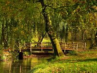 Herfsttafereel Kasteel de Haar