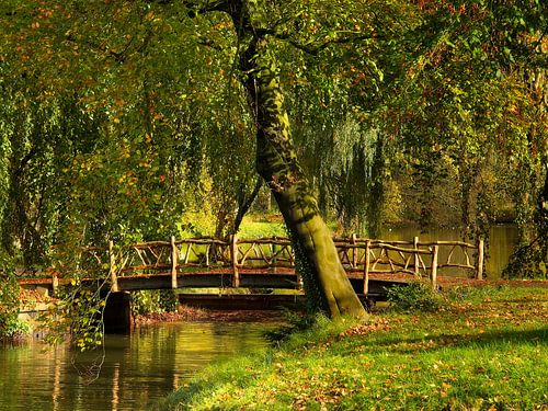 Herfsttafereel Kasteel de Haar