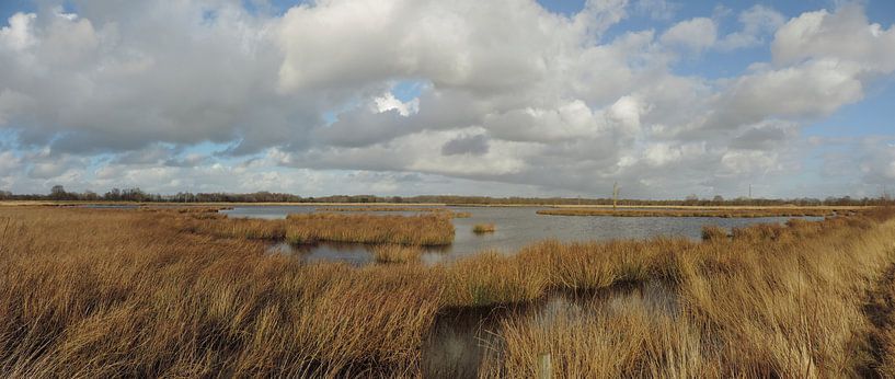 Les étangs de Boerenveensche près de Hoogeveen par Wim vd Neut