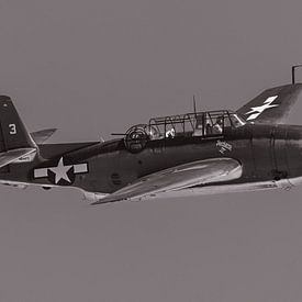 Grumman TBM-3E Avenger. van Jaap van den Berg