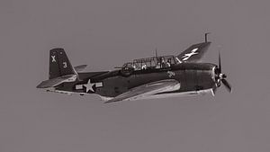 Grumman TBM-3E Avenger.