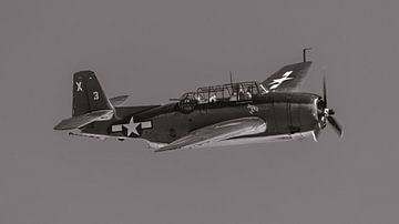 Grumman TBM-3E Avenger. van Jaap van den Berg