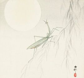 Praying mantis, Ohara Koson
