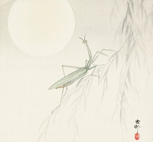 Bidsprinkhaan, Ohara Koson