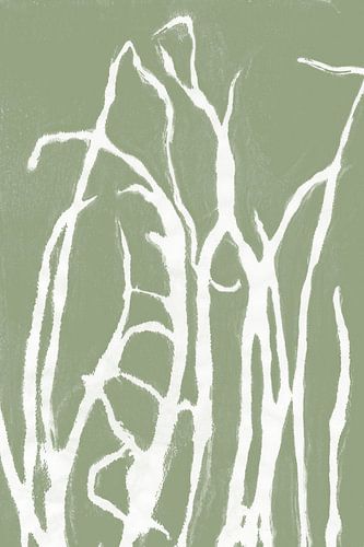 Herbe blanche abstraite dans un style rétro. Art botanique moderne et minimaliste en vert pastel.