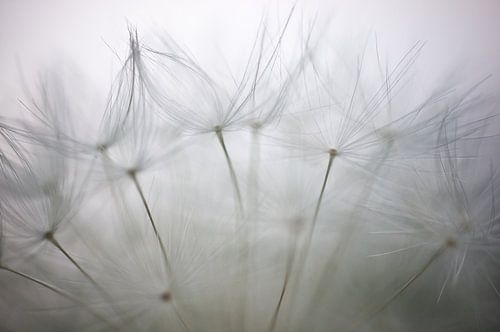 we'll always have Paris