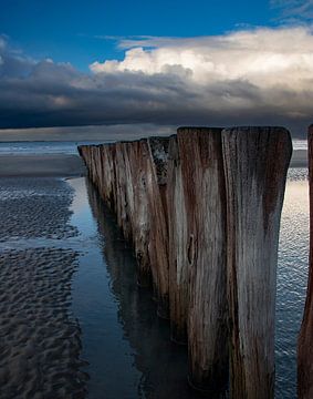 Brise-lames le long de la côte zélandaise. sur Cees van Gastel