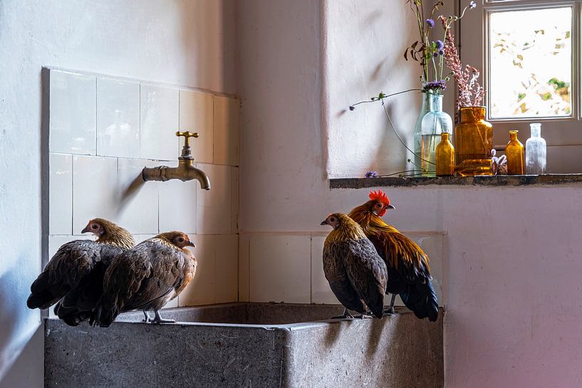home sweet home par Affect Fotografie