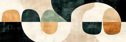 Cirkels van Licht en Schaduw