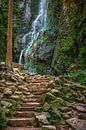 La cascade de Burgbach, Forêt-Noire, Allemagne par Henk Meijer Photography Aperçu