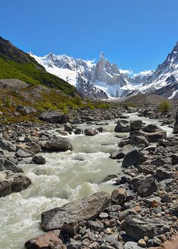 Bergen, gletsjers, bossen en rivieren, dat is Patagonië van Christian Peters