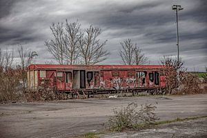 nature morte, gloire passée avec un chariot sur anne droogsma