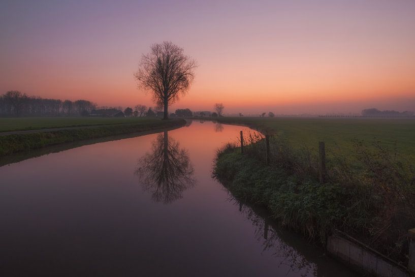 Tree reflection in ditch by Moetwil en van Dijk - Fotografie