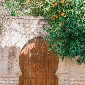 Stadt Granada von shanine Roosingh