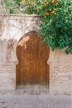 City of Granada by shanine Roosingh