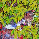 Hidden Kitten Mosaic by Dorothy Berry-Lound thumbnail