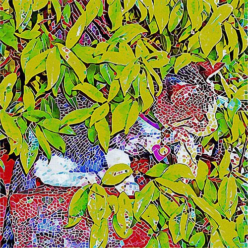 Verborgen Kitten Mozaïek