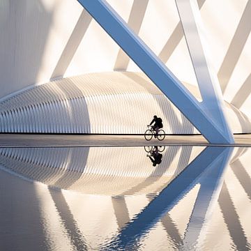 De eenzame fietser van Jose Gieskes