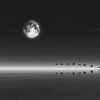 Règne animal  - Oies décollant à la pleine lune sur Jan Keteleer
