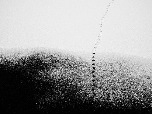 Abstraktes Bild von Fußspuren im Schnee in schwarz und weiß #2