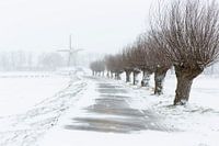 Chutes de neige dans l'Achterhoek