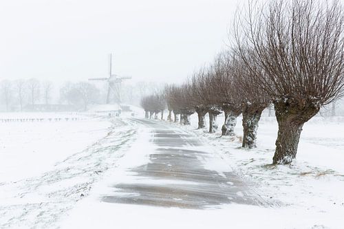 Chutes de neige dans l'Achterhoek sur Bart Harmsen
