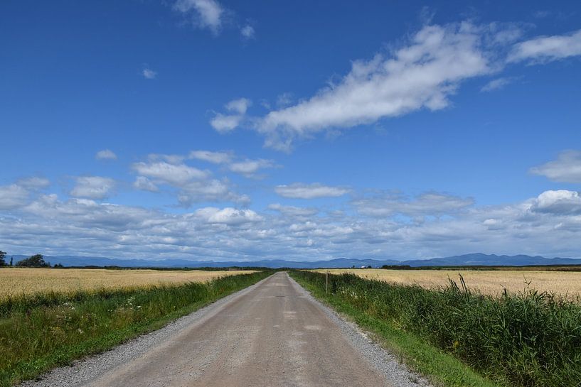 A country road in summer by Claude Laprise