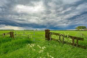 Prairie de printemps avec des nuages d'orage en approche sur Sjoerd van der Wal Photographie