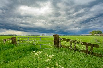 Springtime meadow with storm clouds approaching