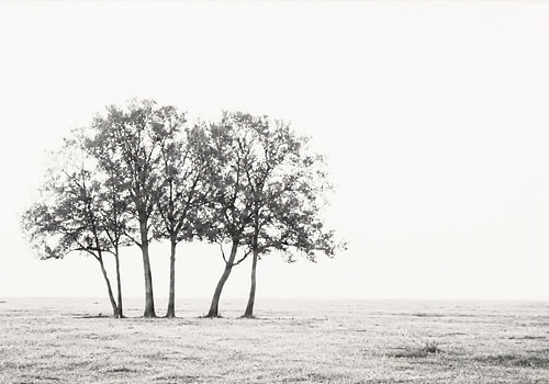 Solitário 05