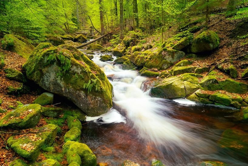 The Ilse in the Harz Mountains by Steffen Henze