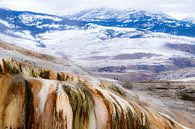 Colors of Mammoth Hot Springs Yellowstone par Sjaak den Breeje Aperçu