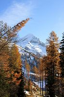 Autumn in the mountains