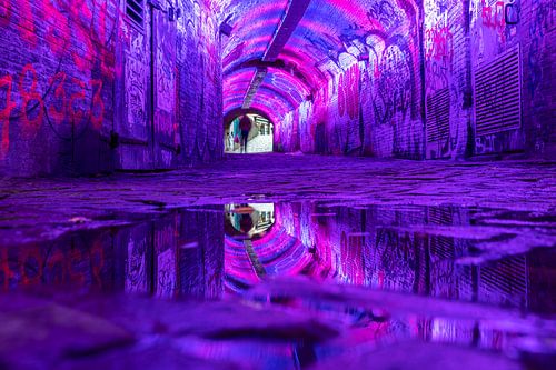 Paarse corridor, Ganzenmarkt - Oudegracht, Utrecht