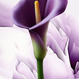 Calla II sur Andreas Wemmje